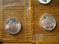 2006-Wolf